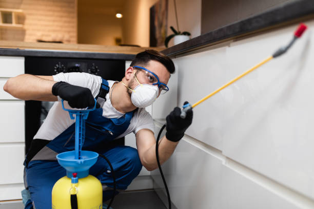 Best Cockroach Control Services  in Nes, IL