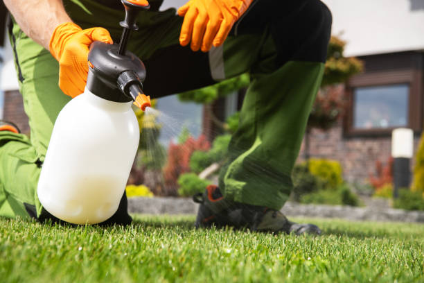 Best Pest Control for Homes  in Nes, IL