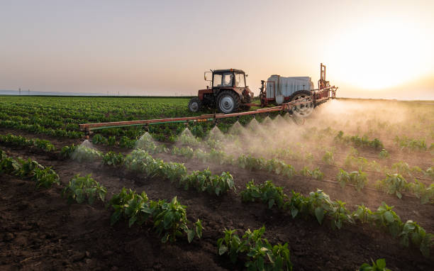 Best Mosquito Control Services  in Nes, IL