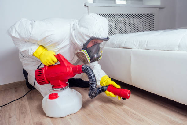 Trusted Niles, IL Pest Control Experts