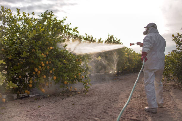 Best Emergency Pest Control  in Nes, IL