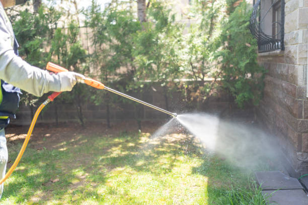 Best Rodent Control Near Me  in Nes, IL