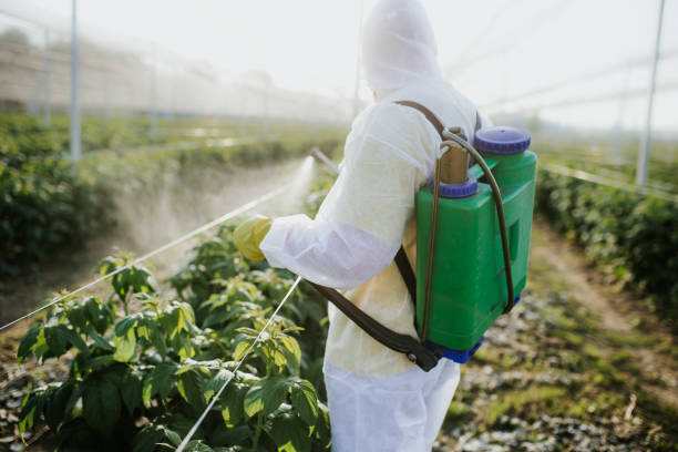 Trusted Niles, IL Pest Control Experts